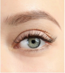 INLEI CLASSIC (Laminado de Pestañas)