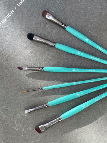 InLei TRAINER BRUSH SET & BAG - edición limitada